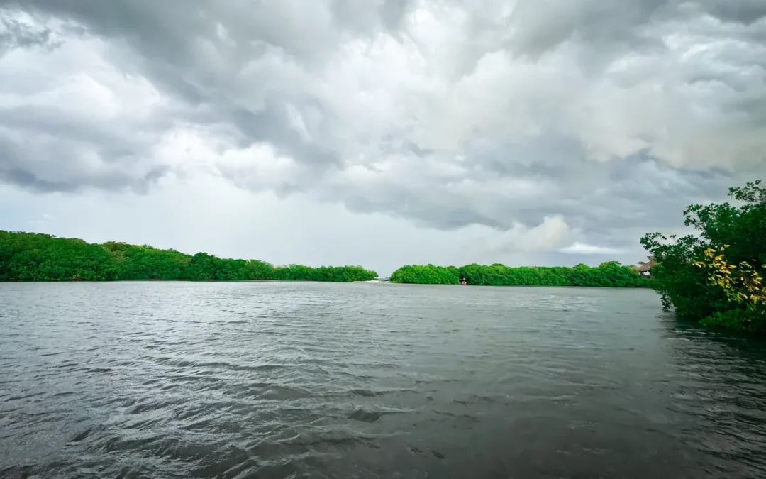 Medicina tradicional