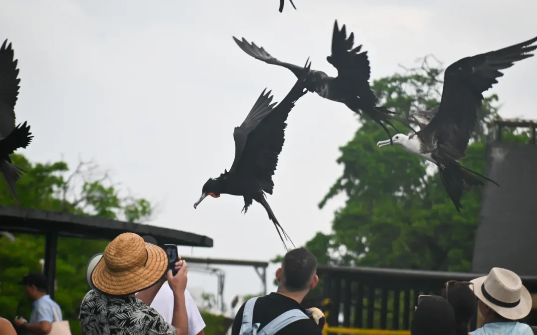 Memoria de Orika, territorio colectivo de las Islas del Rosario