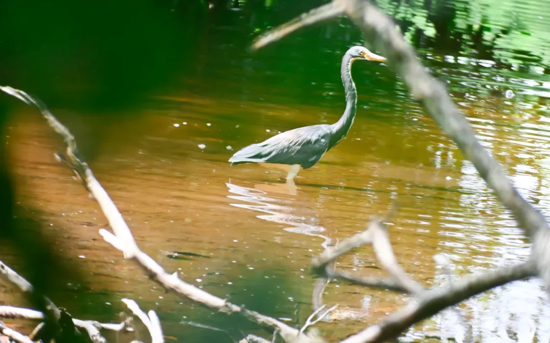 Turismo responsable: aprender, respetar y conservar